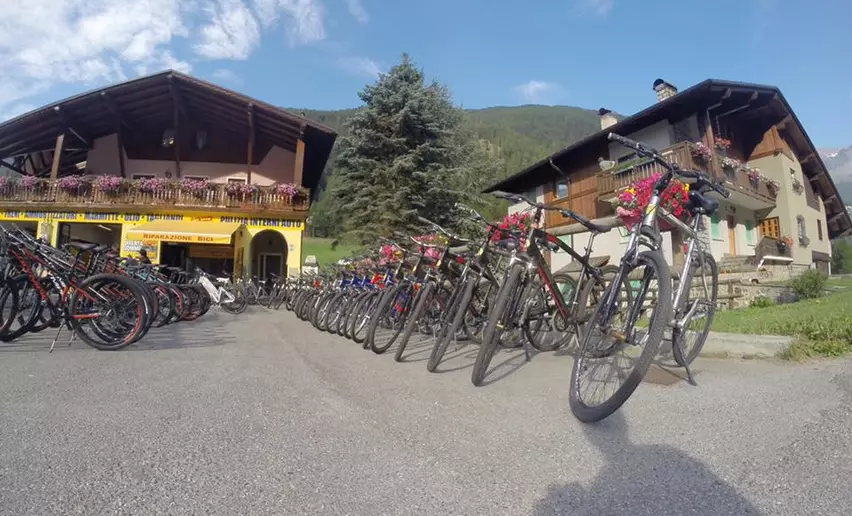 Road bike mountain bike and e bike rentals in Val di Sole Trentino